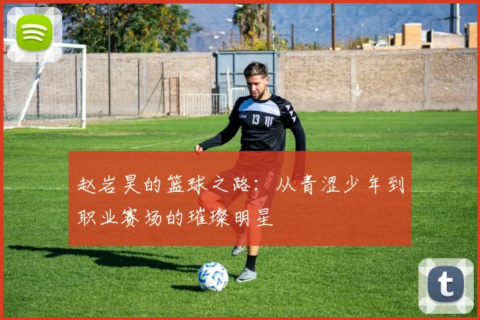 赵岩昊的篮球之路：从青涩少年到职业赛场的璀璨明星