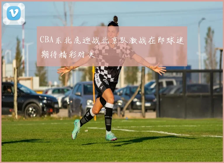 CBA东北虎迎战北京队激战在即球迷期待精彩对决