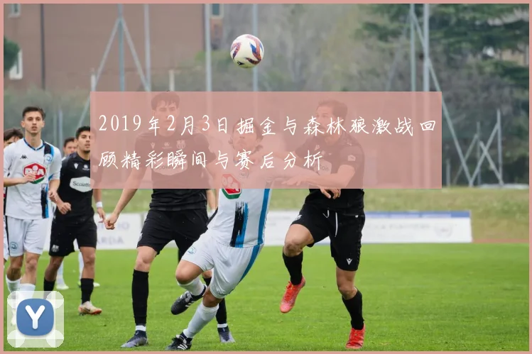 2019年2月3日掘金与森林狼激战回顾精彩瞬间与赛后分析