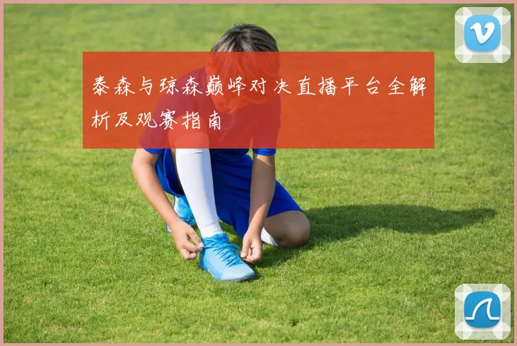 泰森与琼森巅峰对决直播平台全解析及观赛指南
