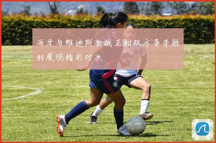 海牙与维迪斯激战正酣双方争夺胜利展现精彩对决